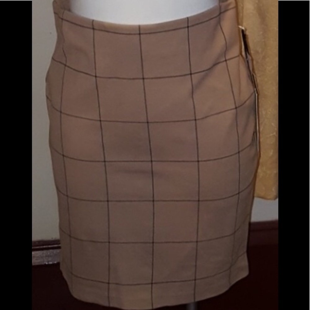 Nwt Willie Smith size 10 skirt